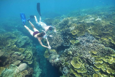 Scenic Helicopter Flight To Moore Reef And Return Snorkeling Cruise From Cairns - Attractions Sydney 1