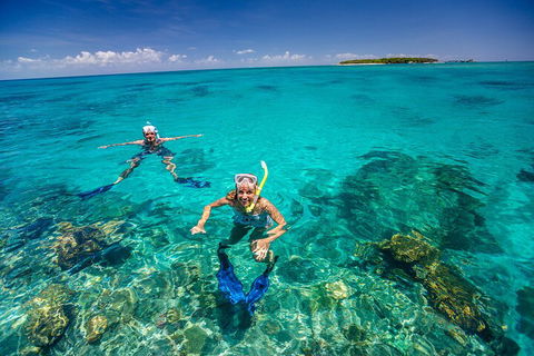 Fly To Green Island - Cruise Return - Attractions Sydney 4