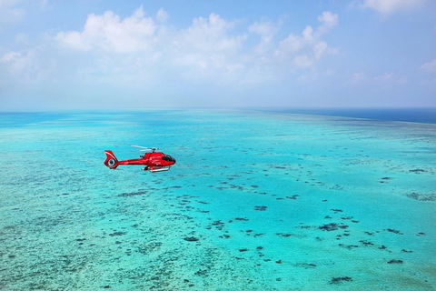 Helicopter And Cruise Packages From Port Douglas - Attractions Sydney 1