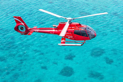 Helicopter And Cruise Packages From Port Douglas - Attractions Sydney 5