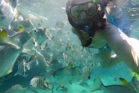 2-Day Moreton Island 4WD Camping Tour From Brisbane - Attractions Sydney 0