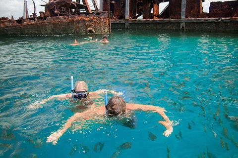 Moreton Island Snorkel And Sandboarding 4WD Day Trip From Brisbane - Attractions Sydney 0