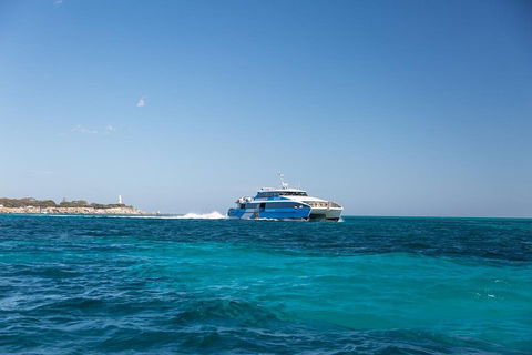 Fremantle To Rottnest Island Roundtrip Ferry Ticket - Attractions Sydney 5