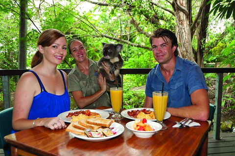 Breakfast With The Koalas At Hartley's Crocodile Park From Cairns Or Palm Cove - Attractions Sydney 0