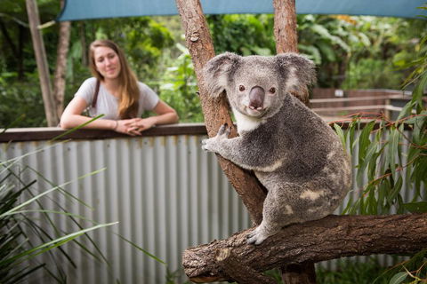 Hartley's Crocodile Adventures Day Trip From Palm Cove - Attractions Sydney 5