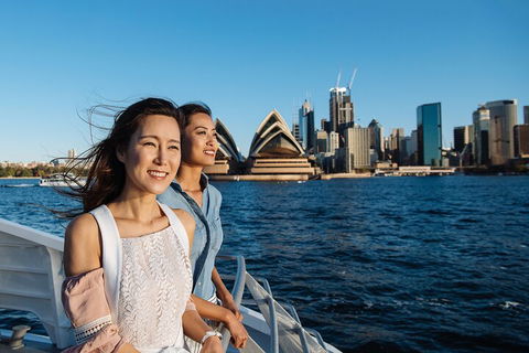 Sydney Whale-Watching Cruise - Attractions Sydney 4