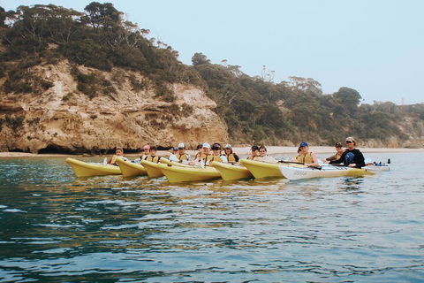 Mornington Peninsula Kayak Coastline Tour Of Dolphin Sanctuary - Attractions Sydney 4