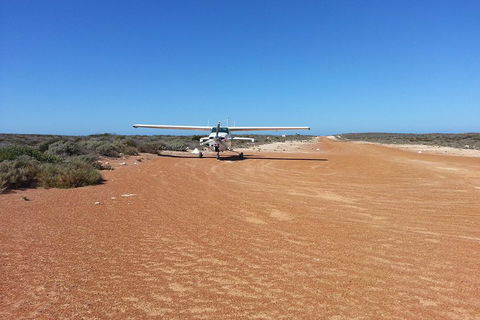 Abrolhos Islands Scenic Flight & Snorkel Adventure From Perth - Attractions Sydney 3