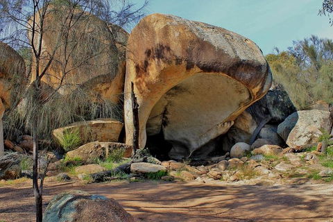 Wave Rock Half Day Air & Ground Tour - Attractions Sydney 1
