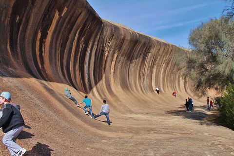 Wave Rock Half Day Air & Ground Tour - Attractions Sydney 2