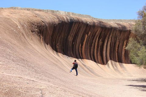 Wave Rock Half Day Air & Ground Tour - Attractions Sydney 3
