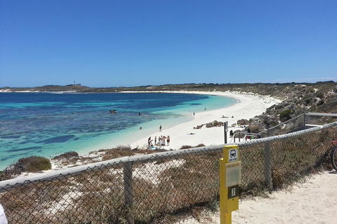 Wave Rock, Pinnacles And Rottnest One Day Aeroplane Tour - Attractions Sydney 2