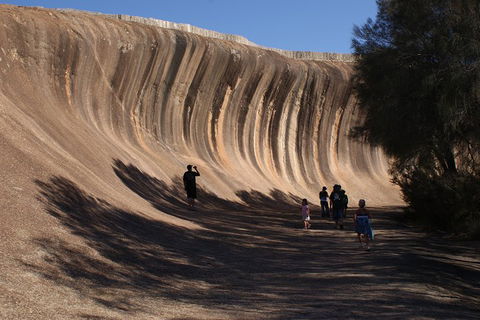 Wave Rock, Pinnacles And Rottnest One Day Aeroplane Tour - Attractions Sydney 4