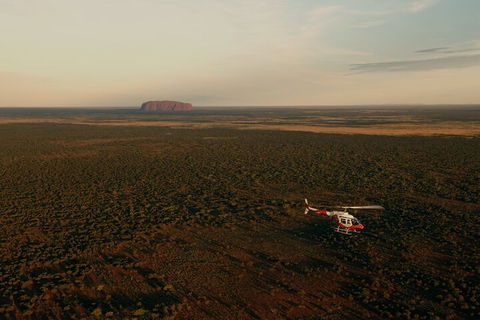 Helicopter Scenic: Lizard Safari - Attractions Sydney 4