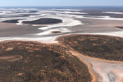 Helicopter Scenic: Lizard Safari - Attractions Sydney 5