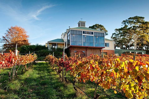 Adelaide Hills Food, Wine, Cheese, & Chocolate - Private Day Tour - Attractions Sydney 3