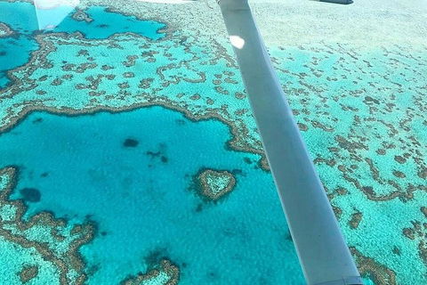 Whitsunday Islands 1-Hour Reef Scenic Helicopter Tour - Attractions Sydney 3