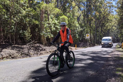 Mount Wellington Descent Cycling Tour Departs Hobart - Attractions Sydney 3