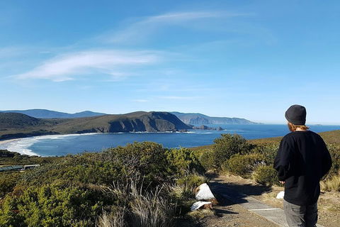 Small-Group Day Trip From Hobart To Bruny Island - Attractions Sydney 0