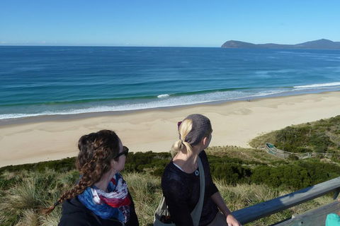 Small-Group Day Trip From Hobart To Bruny Island - Attractions Sydney 3