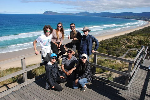Small-Group Day Trip From Hobart To Bruny Island - Attractions Sydney 4