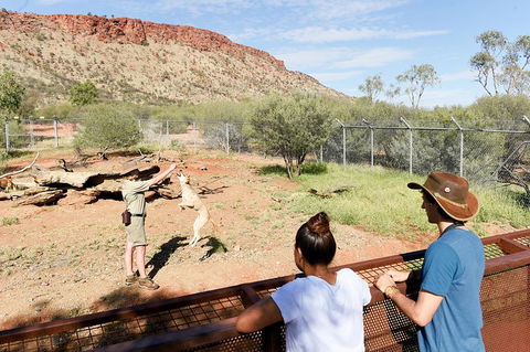 Alice Springs Desert Park General Entry Ticket - Attractions Sydney 4