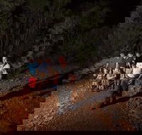 Alice Springs Desert Park Nocturnal Tour - Attractions Sydney