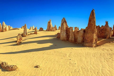 Full-Day Pinnacles Desert And Yanchep National Park Tour From Perth - Attractions Sydney 2