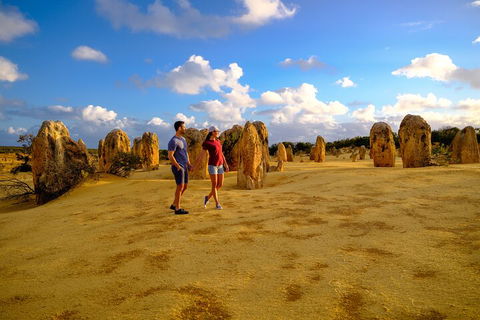 Full-Day Pinnacles Desert And Yanchep National Park Tour From Perth - Attractions Sydney 4