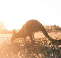 Small Group Mornington Peninsula Hike and Hot Springs Day Tour from Melbourne - Attractions Sydney