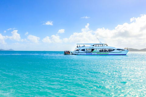 Whitehaven Beach And Daydream Island Cruise - Attractions Sydney 2