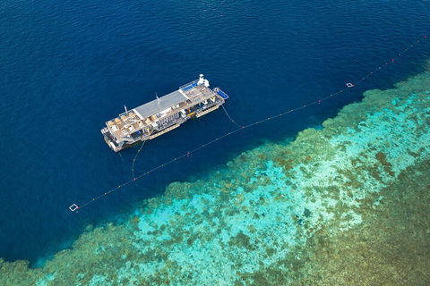 Great Barrier Reef Day Cruise To Reefworld - Attractions Sydney 2