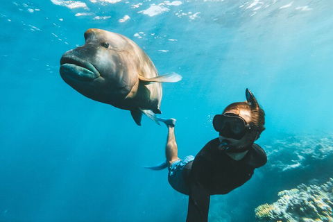 Great Barrier Reef Day Cruise To Reefworld - Attractions Sydney 3
