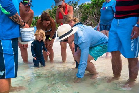 Whitehaven Beach And Hamilton Island Cruise - Attractions Sydney 1