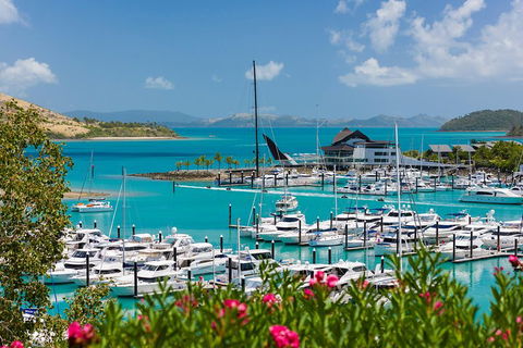 Whitehaven Beach And Hamilton Island Cruise - Attractions Sydney 3