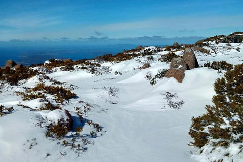 Mount Wellington Ultimate Experience Tour From Hobart - Attractions Sydney 1