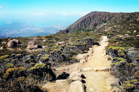 Mount Wellington Ultimate Experience Tour From Hobart - Attractions Sydney 5