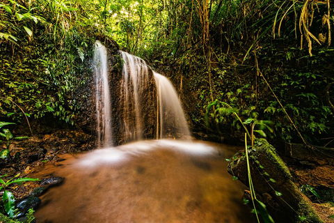 Paronella Park Admission Ticket - Attractions Sydney 5