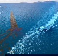 2-Night Whitsunday Islands Sailing Adventure on Trimaran Avatar - Attractions Sydney