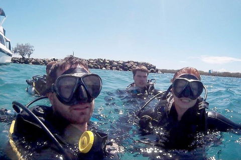 Wave Break Island Scuba Diving On The Gold Coast - Attractions Sydney 0