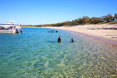 Wave Break Island Scuba Diving On The Gold Coast - Attractions Sydney 4