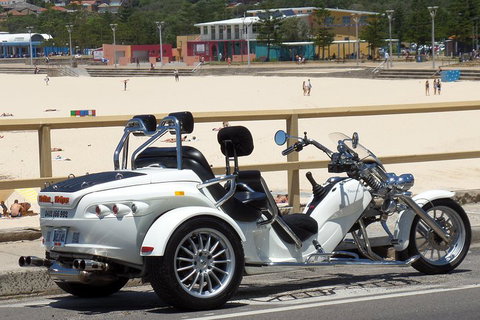 Sydney Six Beaches Trike Tour - Attractions Sydney 1