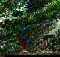 Full Day Daintree Rainforest and Mossman Gorge Tour - Attractions Sydney