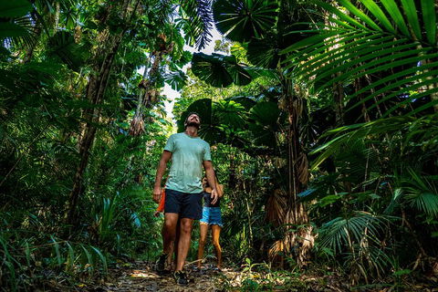 Full Day Daintree Rainforest And Mossman Gorge Tour - Attractions Sydney 0