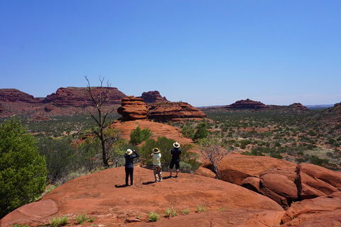 Palm Valley And Hermannsburg 1 Day 4WD Tour - Attractions Sydney 2