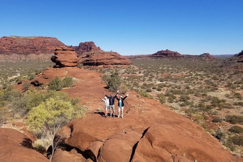 Palm Valley And Hermannsburg 1 Day 4WD Tour - Attractions Sydney 3