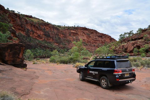 Palm Valley And Hermannsburg 1 Day 4WD Tour - Attractions Sydney 5