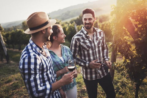 Full Day Mount Tamborine Winery Tour From Gold Coast - Attractions Sydney 5