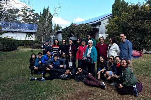 Full Day Mount Tamborine Winery Tour From Brisbane - Attractions Sydney 2