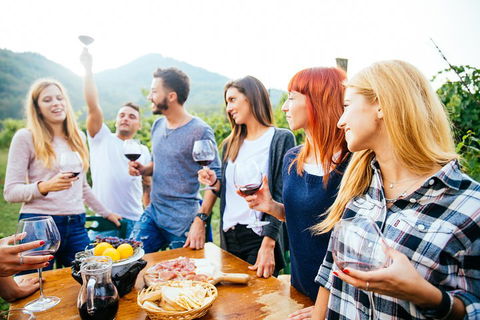 Full Day Mount Tamborine Winery Tour From Brisbane - Attractions Sydney 5